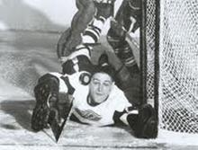 Terry Sawchuk