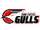 San Diego Gulls (1990-95)