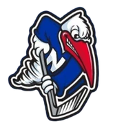 Newmarket Hurricanes logo 2025