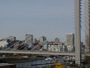 A view of Tacoma Bridge.