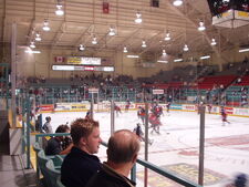 Windsor Arena interior