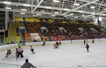 Steve Yzerman Arena.jpg