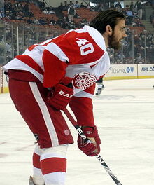 Zetterberg 2010