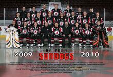 Arizona Sundogs