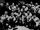 1965 World Championship