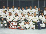 1998 Men's World Ice Hockey Championships