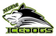 Neguac Icedogs