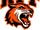 Rochester Institute of Technology Tigers women's ice hockey