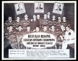 Buffalo Bisons