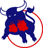 Birmingham bulls