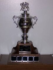 Treaty Six Hockey League championship trophy