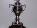 Treaty Six Hockey League