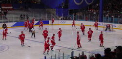 Austriaicehockey2002