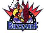 El Paso Buzzards