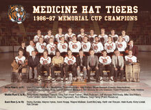 Champion Medicine Hat Tigers