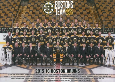 2015-16 Bruins