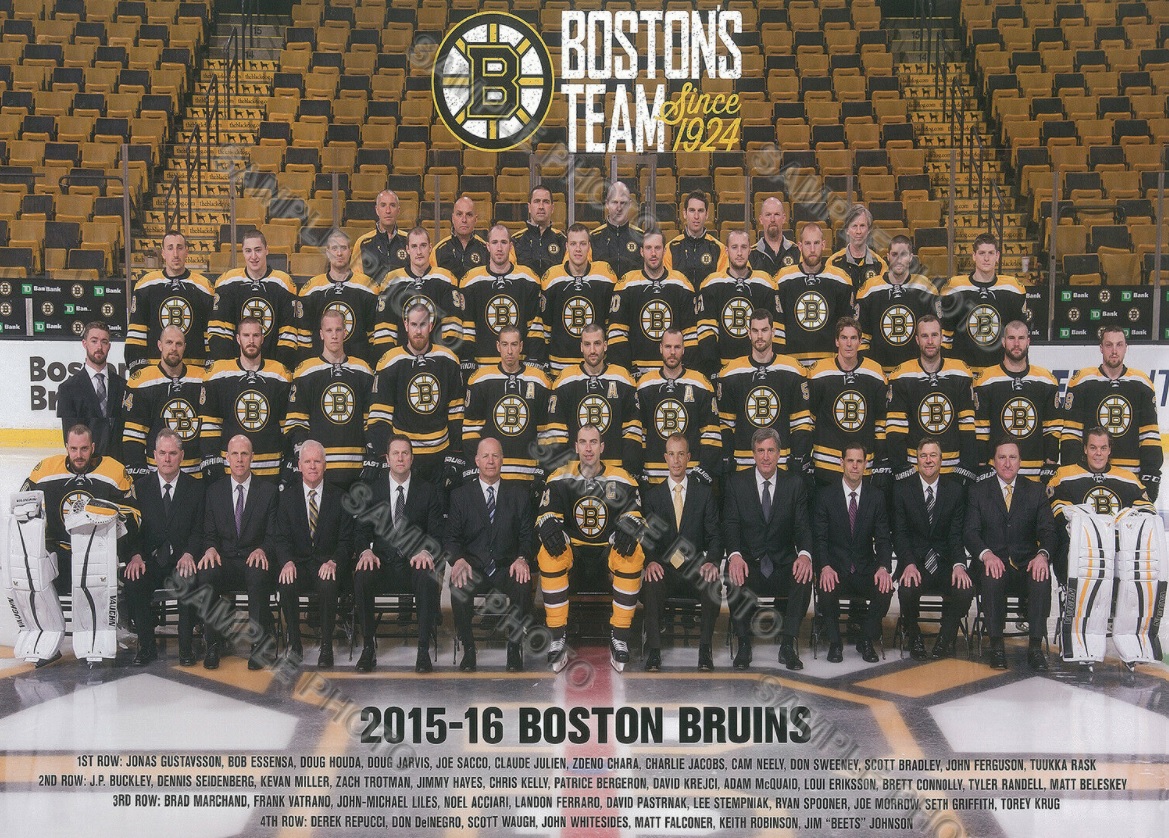 1995–96 Boston Bruins season, Ice Hockey Wiki