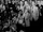 1959-60 Quebec Junior Playoffs