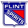 Flint Spirits (IHL) 89-90 logo.png