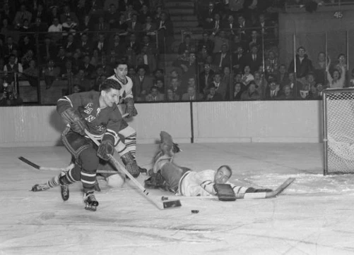Gil Mayer | Ice Hockey Wiki | Fandom