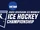 2022 NCAA Division III Women's Ice Hockey Tournament