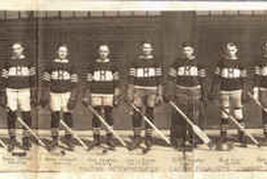 Tavistock Braves Hockey Club