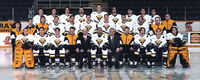 Cape Breton Screaming Eagles