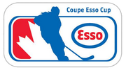 Esso Cup logo