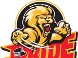Pee Dee Pride