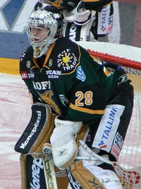 Toivonen Hannu Ilves 2008