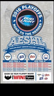 2016 AESHL Playoff poster.jpg