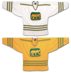 Chicago Cougars jerseys