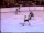 1971–72 Los Angeles Kings season
