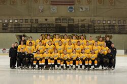 Michigan Tech Huskies (WCHA)