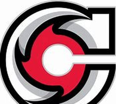 Mathieu Aubin - Cincinnati Cyclones - 2013 ECHL Captains' Club