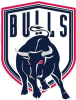 Bedford Bulls.png