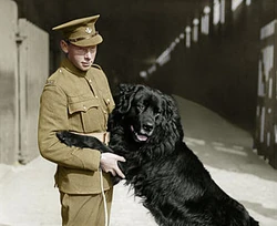  Sable Chief with his handler Pvt
