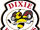 Dixie Beehives (2005–2011)