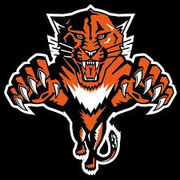 Wadena Wildcats