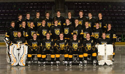 10-11ColoColl.jpg (215 KB) Colorado College Tigers (WCHA)