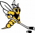 Wisconsin Superior Yellowjackets alt logo