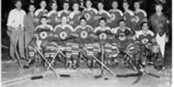 195152 EHL season Ice Hockey Wiki Fandom
