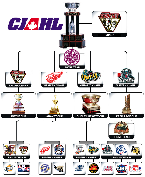 2001 RBC Flowchart.png