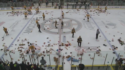 Affinity place after Teddy Bear Toss 2015 goal
