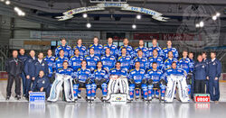 Straubing Tigers