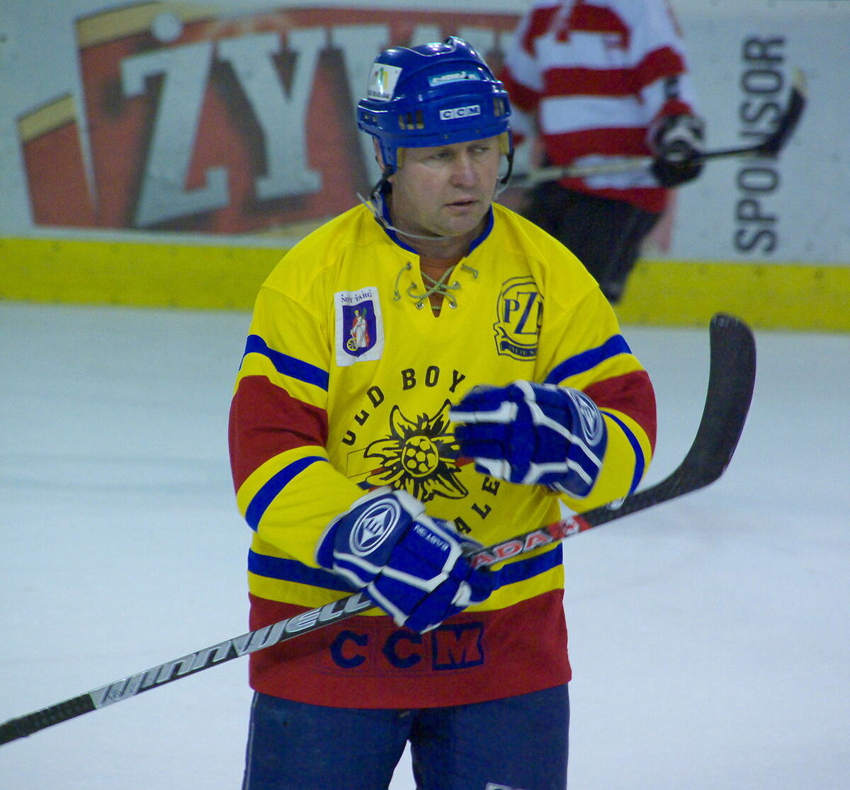 Category:Podhale Nowy Targ players, Ice Hockey Wiki