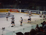 The German national team at the Deutschland Cup 2006 (Hanover)