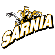 Sting 3rd logo