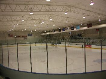 Uconn arena