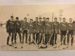 Winnipeg Falcons circa 1934. Cam Cormode , far left